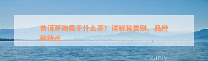 普洱芽孢属于什么茶？详解其类别、品种和特点