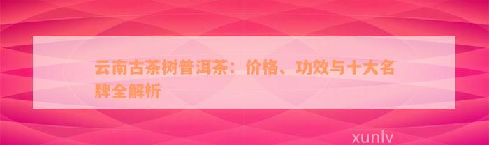 云南古茶树普洱茶：价格、功效与十大名牌全解析