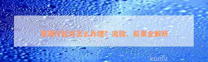 发银行起诉怎么办理？流程、后果全解析