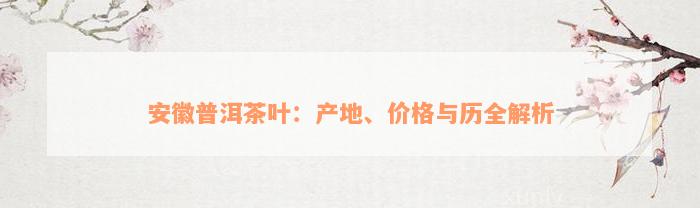 安徽普洱茶叶：产地、价格与历全解析