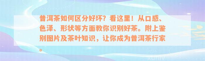 普洱茶如何区分好坏？看这里！从口感、色泽、形状等方面教你识别好茶。附上鉴别图片及茶叶知识，让你成为普洱茶行家。