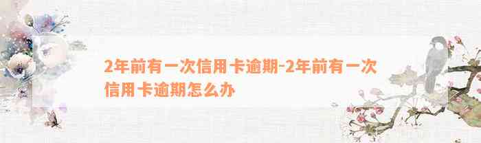 2年前有一次信用卡逾期-2年前有一次信用卡逾期怎么办