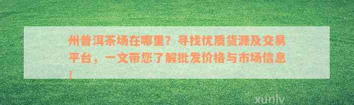 州普洱茶场在哪里？寻找优质货源及交易平台，一文带您了解批发价格与市场信息！