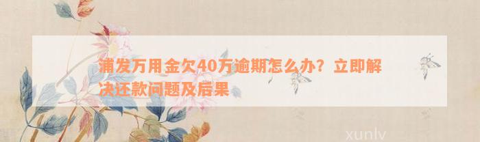 浦发万用金欠40万逾期怎么办？立即解决还款问题及后果