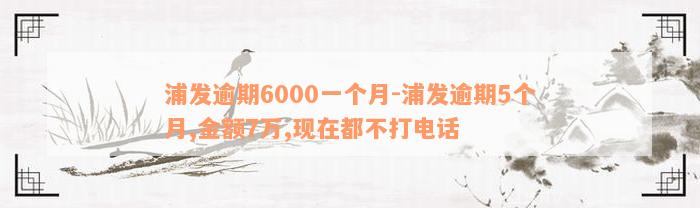 浦发逾期6000一个月-浦发逾期5个月,金额7万,现在都不打电话