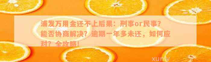 浦发万用金还不上后果：刑事or民事？能否协商解决？逾期一年多未还，如何应对？全攻略！