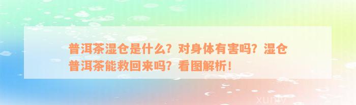 普洱茶湿仓是什么？对身体有害吗？湿仓普洱茶能救回来吗？看图解析！