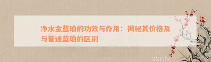 净水金蓝珀的功效与作用：揭秘其价格及与普通蓝珀的区别