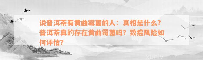 说普洱茶有黄曲霉菌的人：真相是什么？普洱茶真的存在黄曲霉菌吗？致癌风险如何评估？