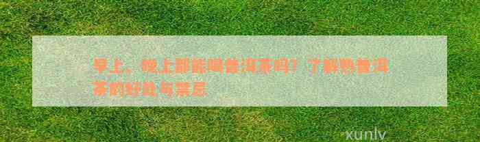 早上、晚上都能喝普洱茶吗？了解熟普洱茶的好处与禁忌