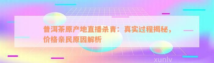 普洱茶原产地直播杀青：真实过程揭秘，价格亲民原因解析