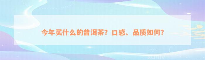 今年买什么的普洱茶？口感、品质如何？