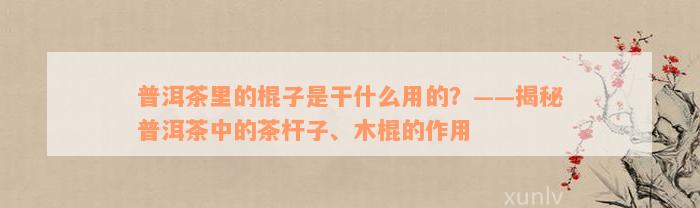 普洱茶里的棍子是干什么用的？——揭秘普洱茶中的茶杆子、木棍的作用