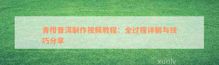 青柑普洱制作视频教程：全过程详解与技巧分享