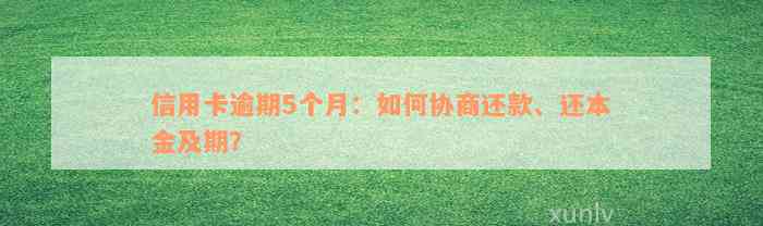 信用卡逾期5个月：如何协商还款、还本金及期？