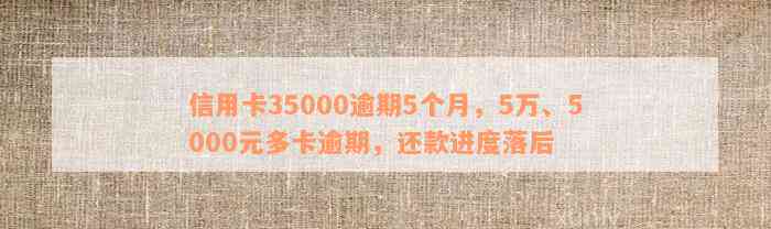 信用卡35000逾期5个月，5万、5000元多卡逾期，还款进度落后