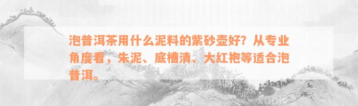 泡普洱茶用什么泥料的紫砂壶好？从专业角度看，朱泥、底槽清、大红袍等适合泡普洱。