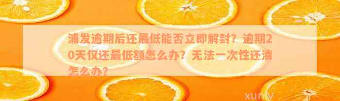 浦发逾期后还最低能否立即解封？逾期20天仅还最低额怎么办？无法一次性还清怎么办？