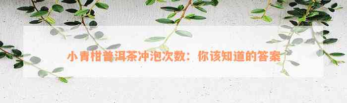 小青柑普洱茶冲泡次数：你该知道的答案