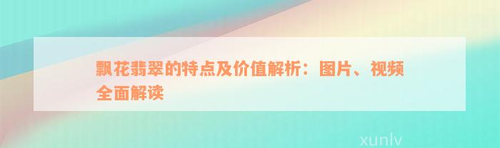 飘花翡翠的特点及价值解析：图片、视频全面解读