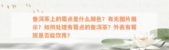 普洱茶上的霉点是什么颜色？有无图片展示？如何处理有霉点的普洱茶？外表有霉斑是否能饮用？