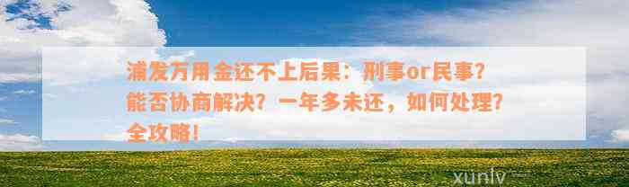 浦发万用金还不上后果：刑事or民事？能否协商解决？一年多未还，如何处理？全攻略！