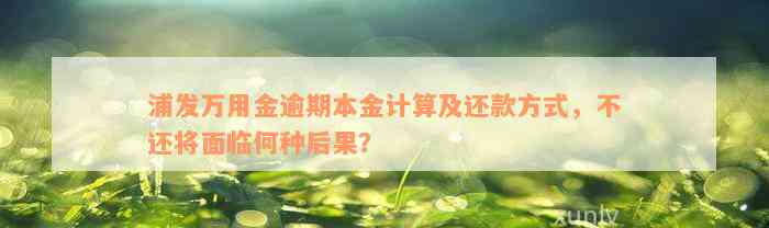 浦发万用金逾期本金计算及还款方式，不还将面临何种后果？