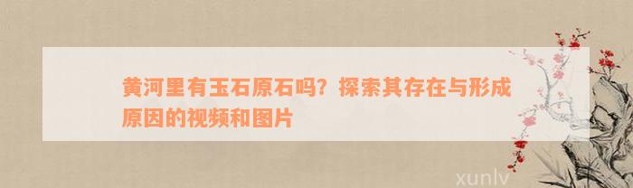 黄河里有玉石原石吗？探索其存在与形成原因的视频和图片