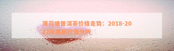 薄荷塘普洱茶价格走势：2018-2022年最新行情分析