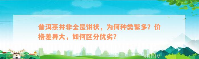 普洱茶并非全是饼状，为何种类繁多？价格差异大，如何区分优劣？