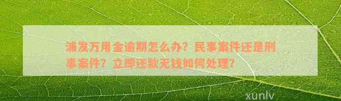 浦发万用金逾期怎么办？民事案件还是刑事案件？立即还款无钱如何处理？