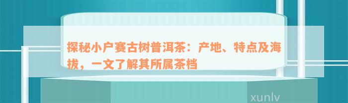 探秘小户赛古树普洱茶：产地、特点及海拔，一文了解其所属茶档