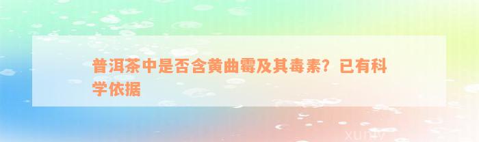 普洱茶中是否含黄曲霉及其毒素？已有科学依据