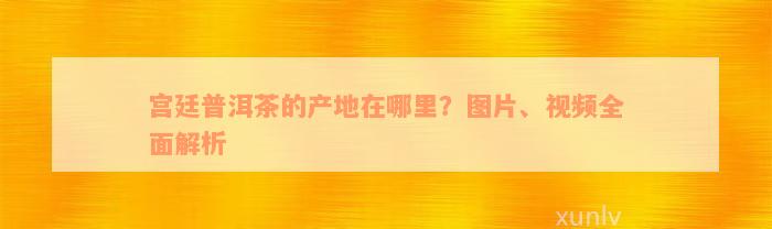 宫廷普洱茶的产地在哪里？图片、视频全面解析