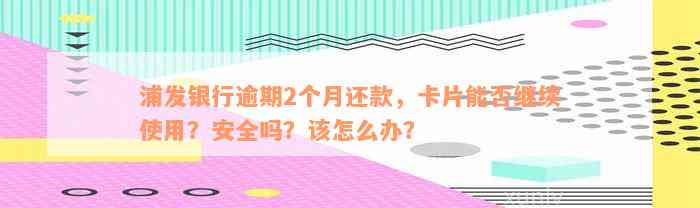 浦发银行逾期2个月还款，卡片能否继续使用？安全吗？该怎么办？