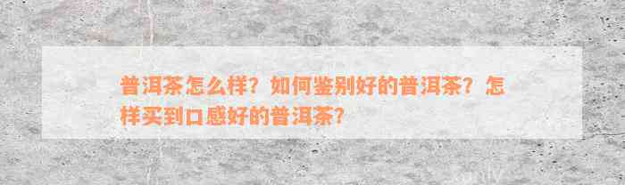 普洱茶怎么样？如何鉴别好的普洱茶？怎样买到口感好的普洱茶？