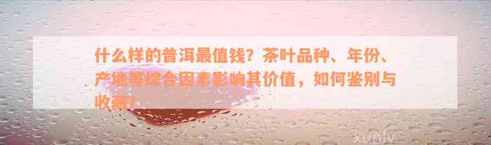 什么样的普洱最值钱？茶叶品种、年份、产地等综合因素影响其价值，如何鉴别与收藏？