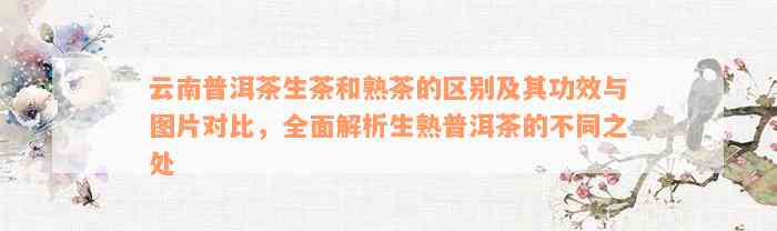 云南普洱茶生茶和熟茶的区别及其功效与图片对比，全面解析生熟普洱茶的不同之处