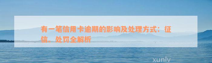 有一笔信用卡逾期的影响及处理方式：征信、处罚全解析