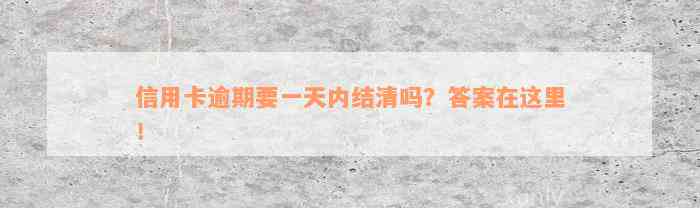 信用卡逾期要一天内结清吗？答案在这里！