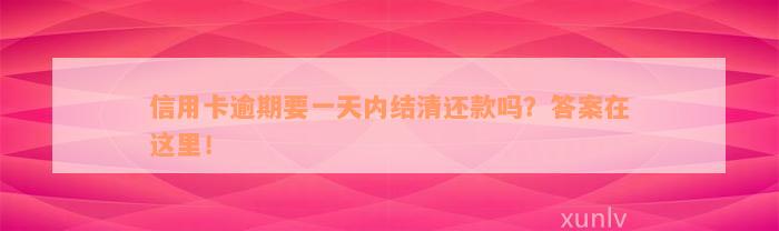 信用卡逾期要一天内结清还款吗？答案在这里！