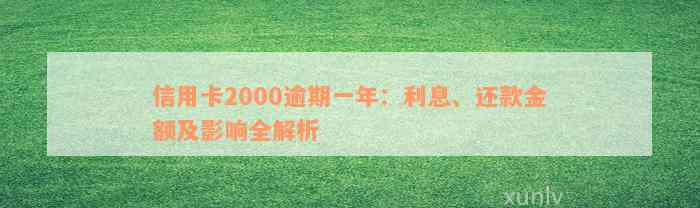 信用卡2000逾期一年：利息、还款金额及影响全解析