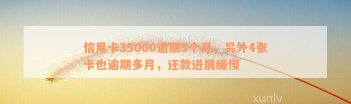 信用卡35000逾期5个月，另外4张卡也逾期多月，还款进展缓慢