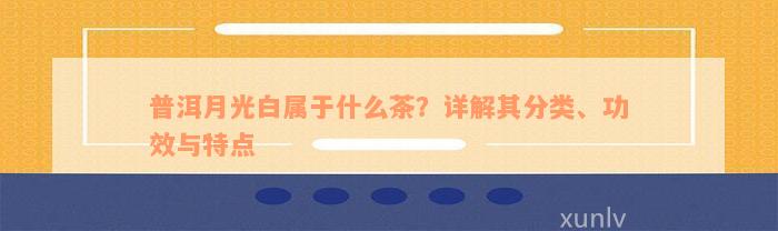 普洱月光白属于什么茶？详解其分类、功效与特点