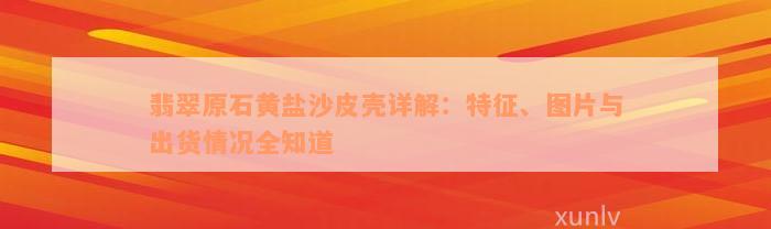 翡翠原石黄盐沙皮壳详解：特征、图片与出货情况全知道