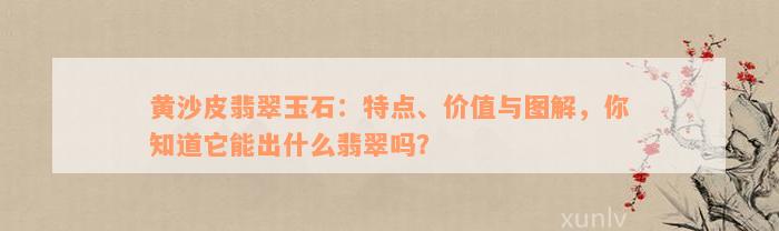 黄沙皮翡翠玉石：特点、价值与图解，你知道它能出什么翡翠吗？