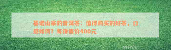 基诺山寨的普洱茶：值得购买的好茶，口感如何？每饼售价400元