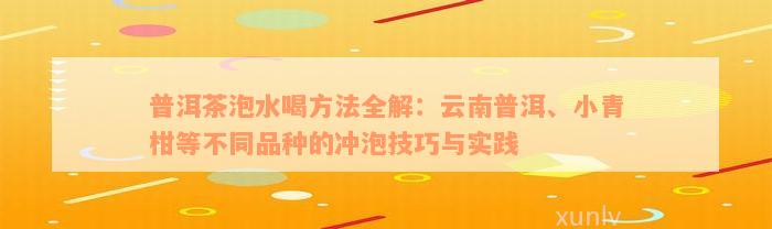 普洱茶泡水喝方法全解：云南普洱、小青柑等不同品种的冲泡技巧与实践