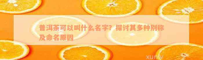 普洱茶可以叫什么名字？探讨其多种别称及命名原因