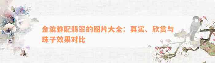 金貔貅配翡翠的图片大全：真实、欣赏与珠子效果对比